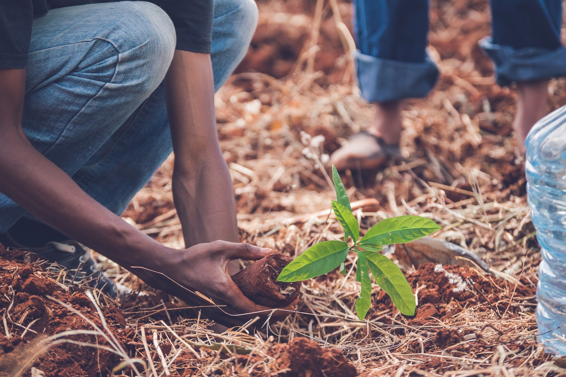 CONTINUING OUR SUSTAINABILITY PROMISE - We have now planted over 10000 trees at Project Eden Reforestation Projects Madagascar as part of our continued commitment to global sustainability